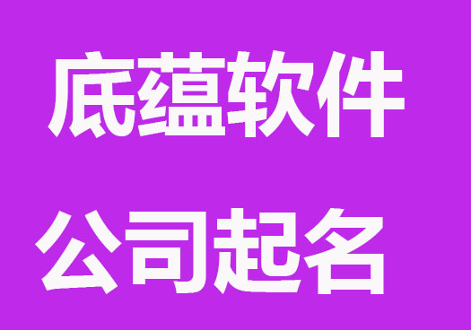 有底蕴的软件公司起名字精选
