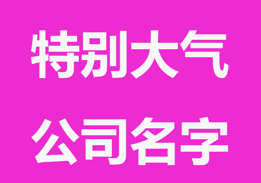 特别大气的公司名字