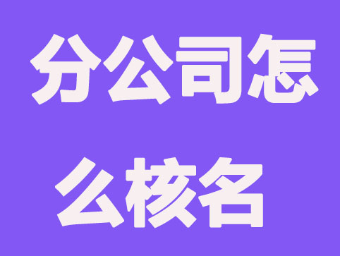 分公司怎么核名
