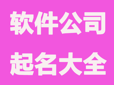 响亮it软件公司起名大全